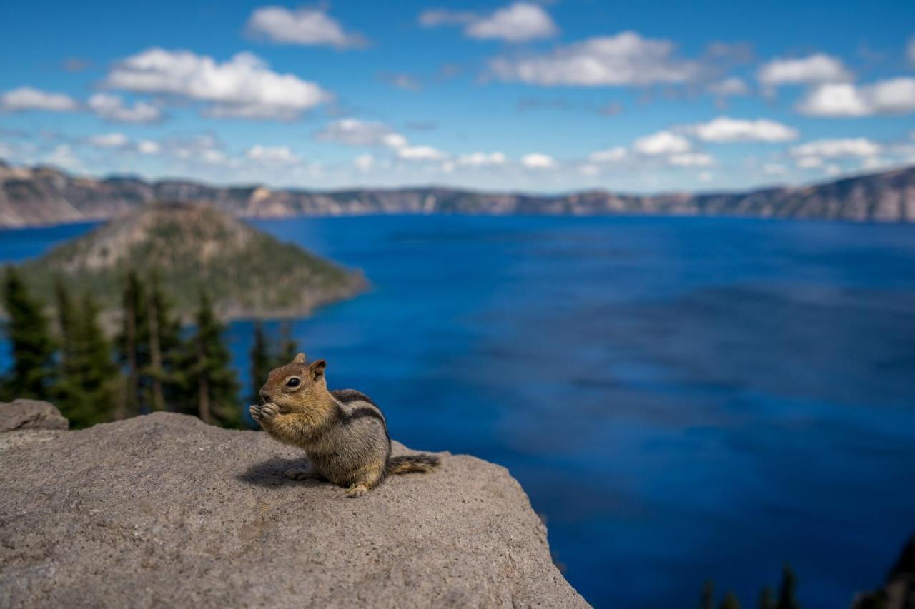 Crater Lake Resort Fort Klamath Exterior foto